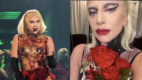 Lady Gaga sustabdė savo koncertą su 65 tūkst. žiūrovų: atsiprašė verkdama