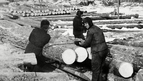 Gulago kaliniai dirbantys stovykloje 013, Ozerlagas 1951 m.