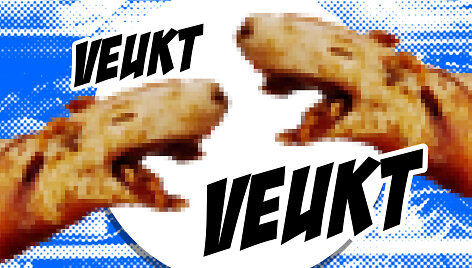 &bdquo;Evelinos kuchnia&ldquo;
