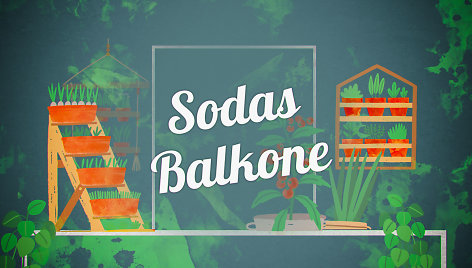 Sodas Balkone