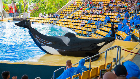 „Loro Parque“ (Loro parkas), Tenerifė