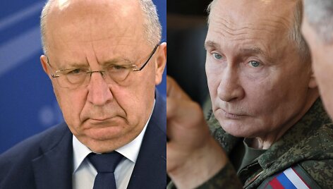 Andrius Kubilius, Vladimiras Putinas