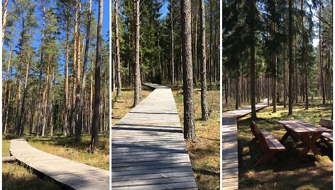 Aplankykite daugiausia mi&scaron;ko takų Vilniaus apylinkėse turintį kaimą &ndash; Saki&scaron;kes