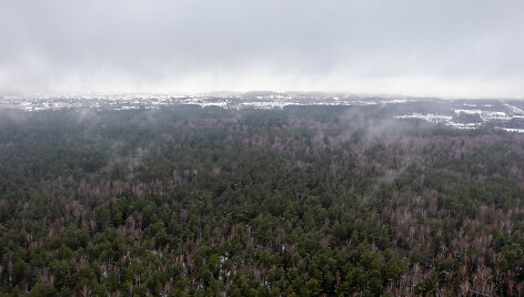 Mi&scaron;kas Panerių seniūnijoje, kurį norima paversti žvyro ir smėlio karjeru