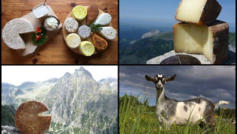 Sūrio gurmanams: 7 vietos Lietuvoje tikro kaimiško sūrio degustacijoms