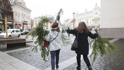 Kalėdinės eglių šakų dalybos