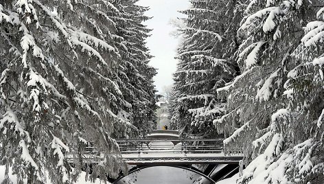 Balta žiema pasaulyje