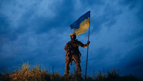 Ukrainos karys