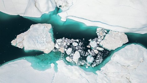 Grenlandijos ledynas
