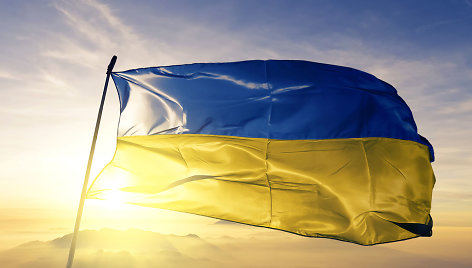 Minint dalies Sakartvelo okupaciją, Lietuva ragina stabdyti Rusiją Ukrainoje