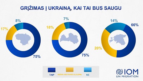 IOM nuotr. Statistika