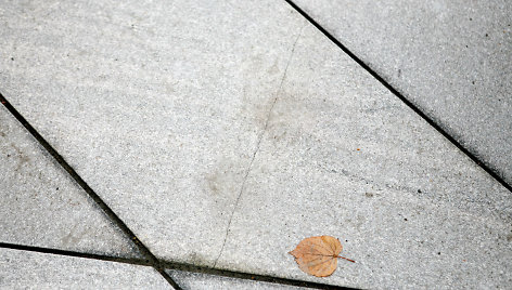 Granito grindinys Laisvės alėjoje