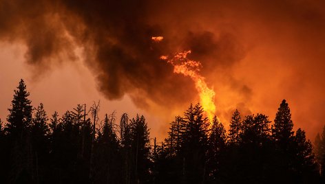 Miško gaisras Josemičio nacionaliniame parke