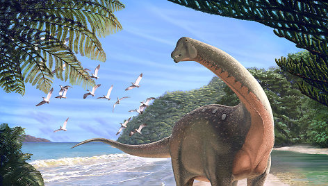 Mansourasaurus