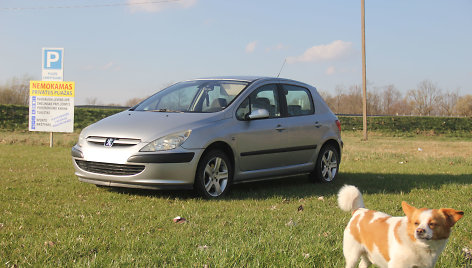 Naudotas „Peugeot 307“