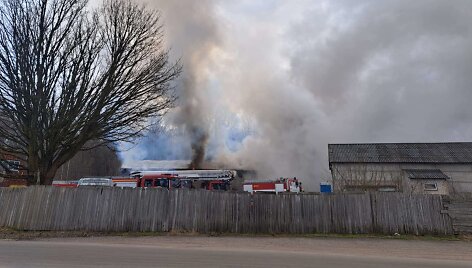 Lentpjūvės gaisras prie Gargždų