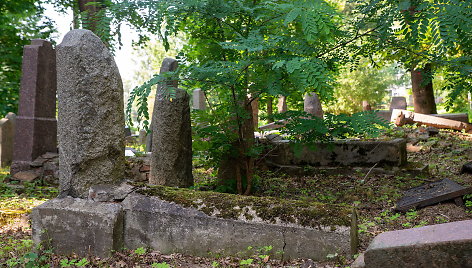 Brūzgynai Žaliakalnio senosiose žydų kapinėse