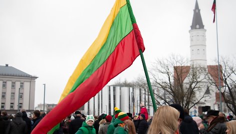 L. Yarmoshenko nuotr. Lietuvos vėliava