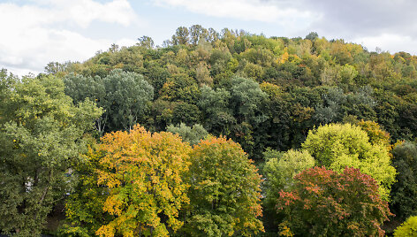 Rudenėjantis Vilnius