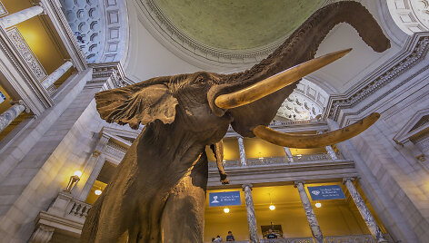 Smithsonian National Museum of Natural History