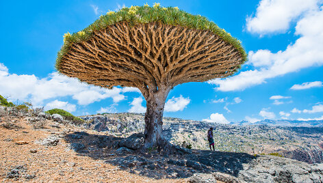 Sokotra