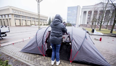 Yolana Slušnys pasiryžusi gyventi prie Seimo