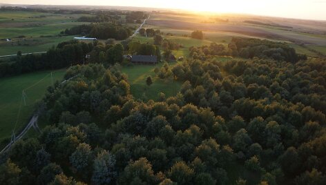 Lietuvos tautinio atgimimo ąžuolynas ir Jono Basanavičiaus gimtinė