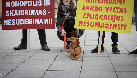 Protestas prieš miškų reformą prie Vyriausybės