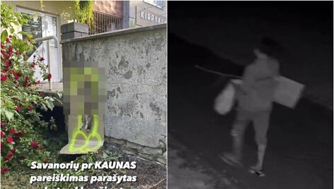 Kaune rastas i&scaron;niekintas katino lavonėlis ir ie&scaron;komas tai padaręs vyras