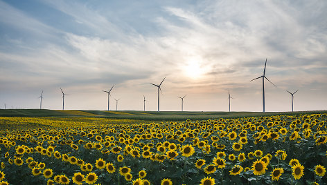 Vėjo elektrinė