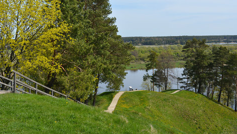 Sudargo piliakalniai (Šakių r.)