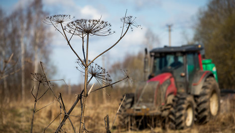 Parodomoji Sosnovskio barščio naikinimo akcija