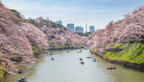 Tokijas, Japonija