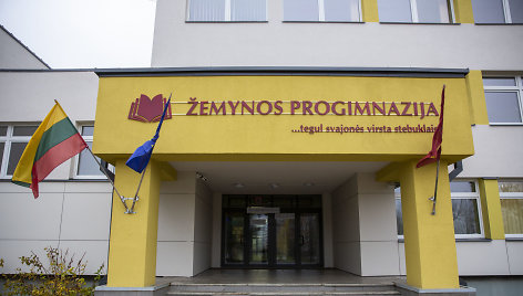 Streikas Vilniaus Žemynos progimnazijoje