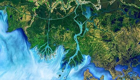 Atčafalijos delta Luizianoje