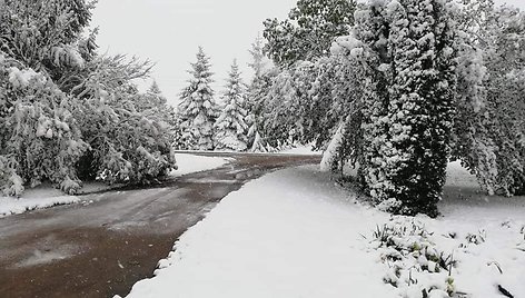 Neįtikėtina: prieš 3 metus Lietuvos orai nelepino – per sniegą reikėjo bristi