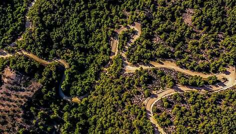 WRC organizatorių &bdquo;facebook&ldquo; puslapyje patalpinta nuotr.
