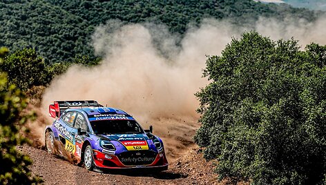 Akimirka i&scaron; Graikijos ralio. WRC organizatorių &bdquo;facebook&ldquo; puslapyje patalpinta nuotr.