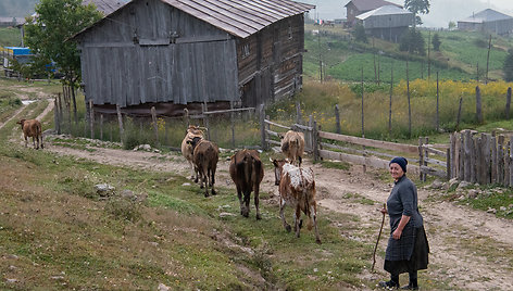 Adžarijos kalnų kaimai ir jų gyventojai, Sakartvelas 2022 Liepos 29 d. 