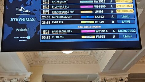 Vilniaus oro uoste sustabdyti skrydžiai