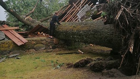 Panevėžio rajone audros išversti medžiai aplankstė automobilį, sugriovė ūkinį pastatą