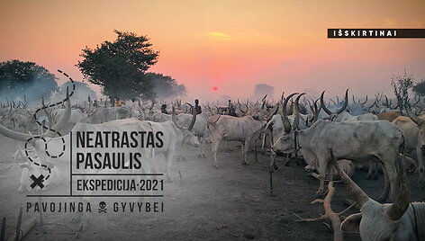 Ekspedicija neatrastas pasaulis