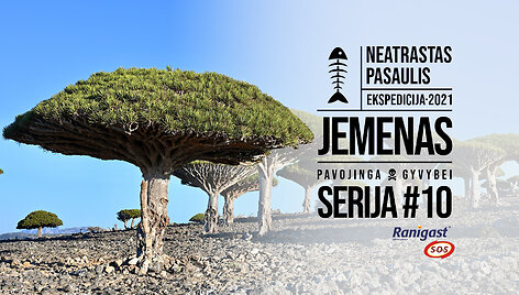 EP10-NeatrastasPasaulis