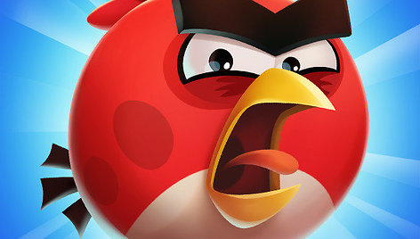 "Angry birds" žaidimo pagrindinis veikėjas