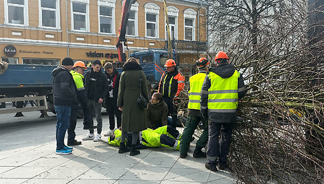 Laisvės alėjoje sodinant liepas sužalotas darbininkas