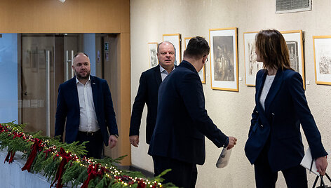 Komentarai po I. Ruginienės susitikimo su Seimo frakcijų vadovais