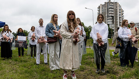 Protestas prie Valstybinės maisto ir veterinarijos tarnybos