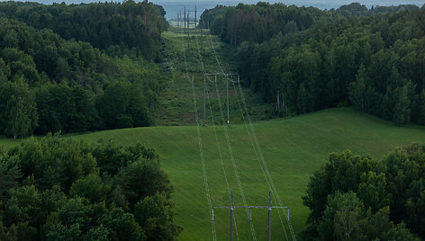 Elektros laidai