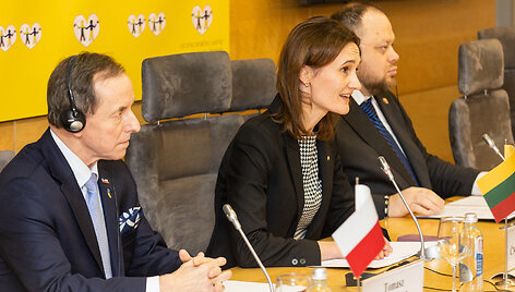 Tomaszas Grodzkis, Viktorija Čmilytė-Nielsen, Ruslanas Stefančiukas