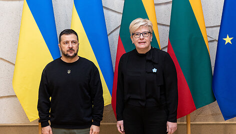 Volodymyras Zelenskis, Ingrida &Scaron;imonytė